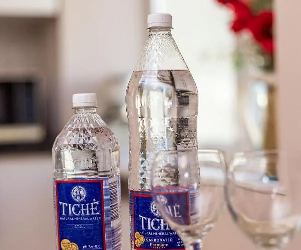 דירה Excellent In פלאנגה